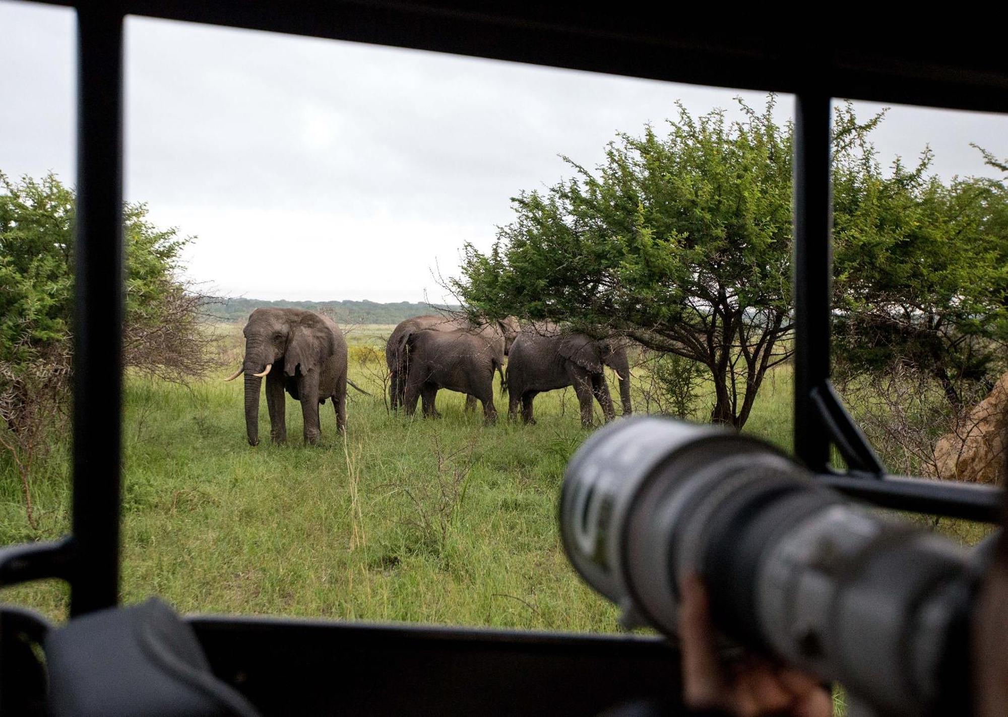 Royal Thonga Safari Lodge Sihangwane Exterior photo